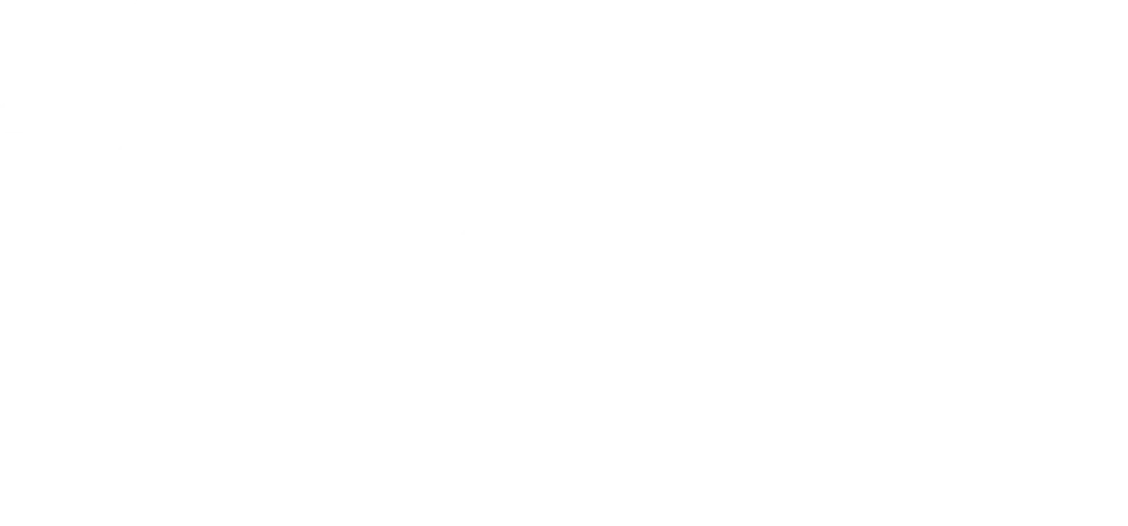 Wayne Moving & Storage Co logo