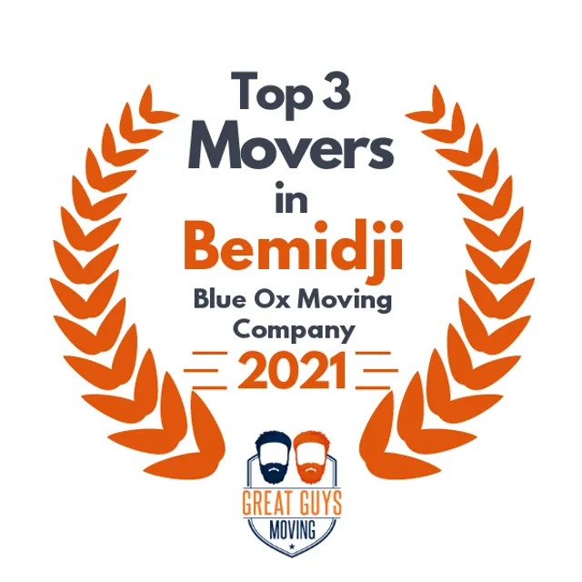 Top 3 Movers in Andover, MN 2021 award