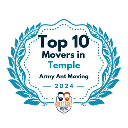 top 10 temple 2024 army ant moving image