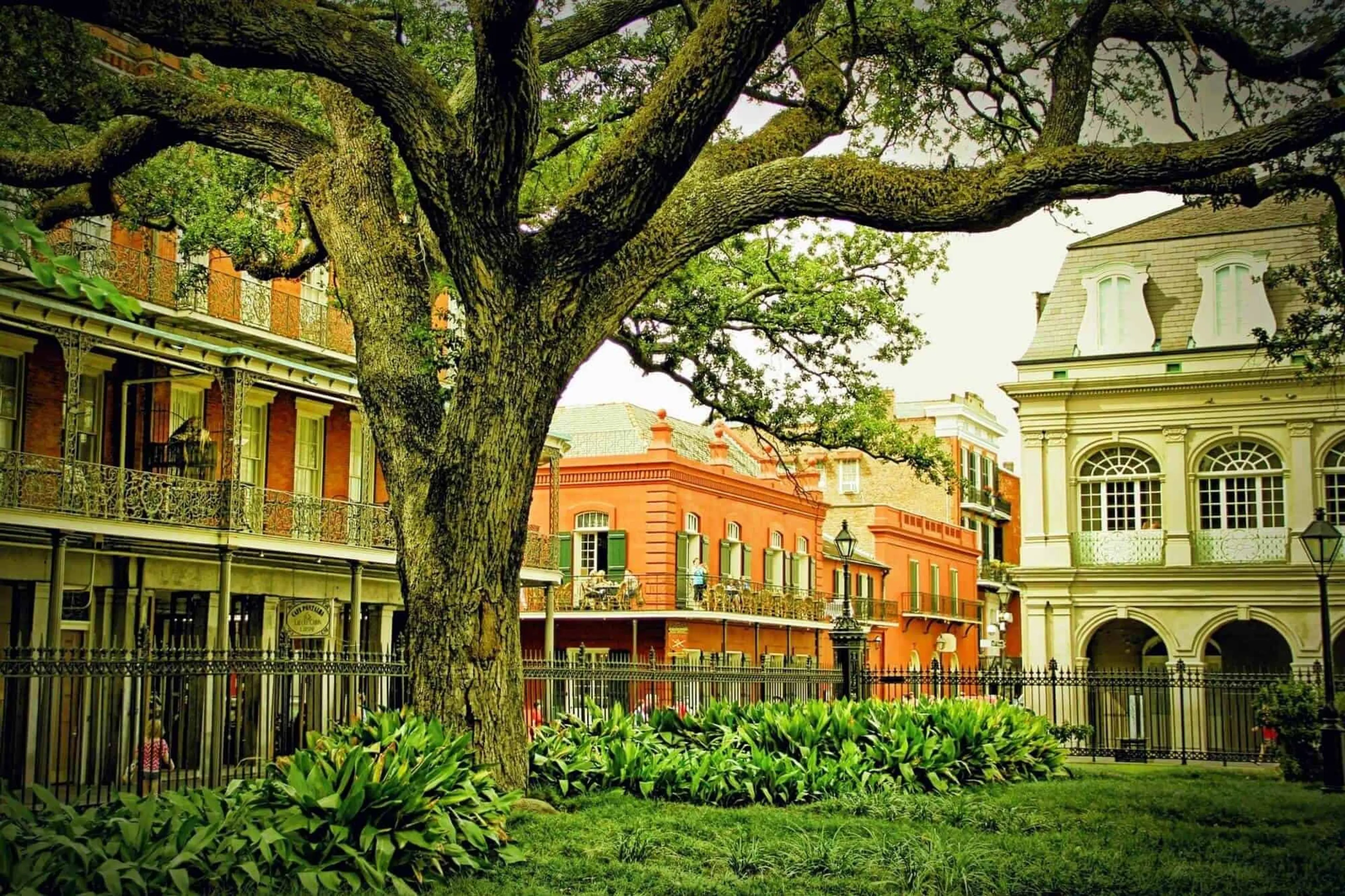 New Orleans, LA background image