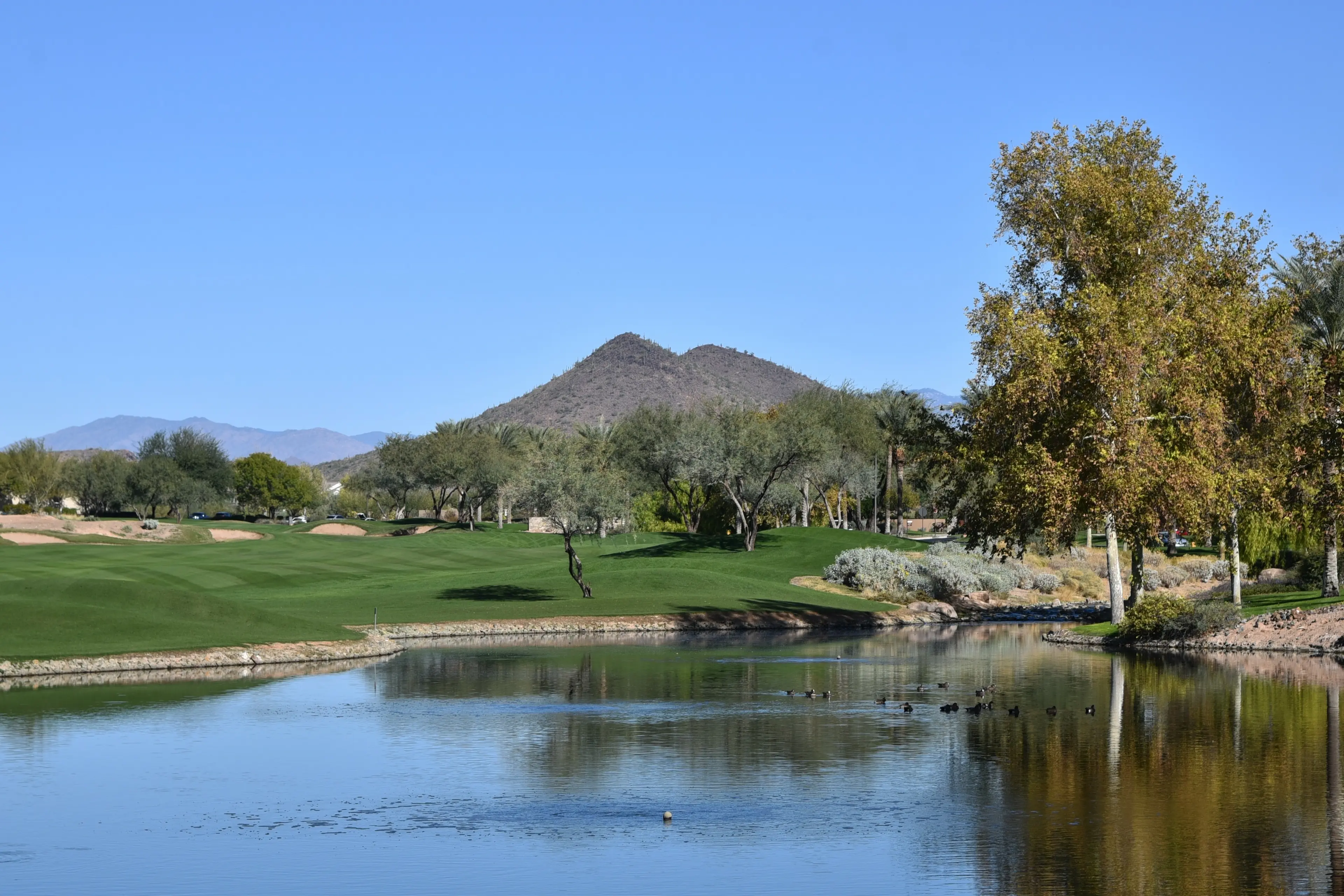 Peoria, AZ background image