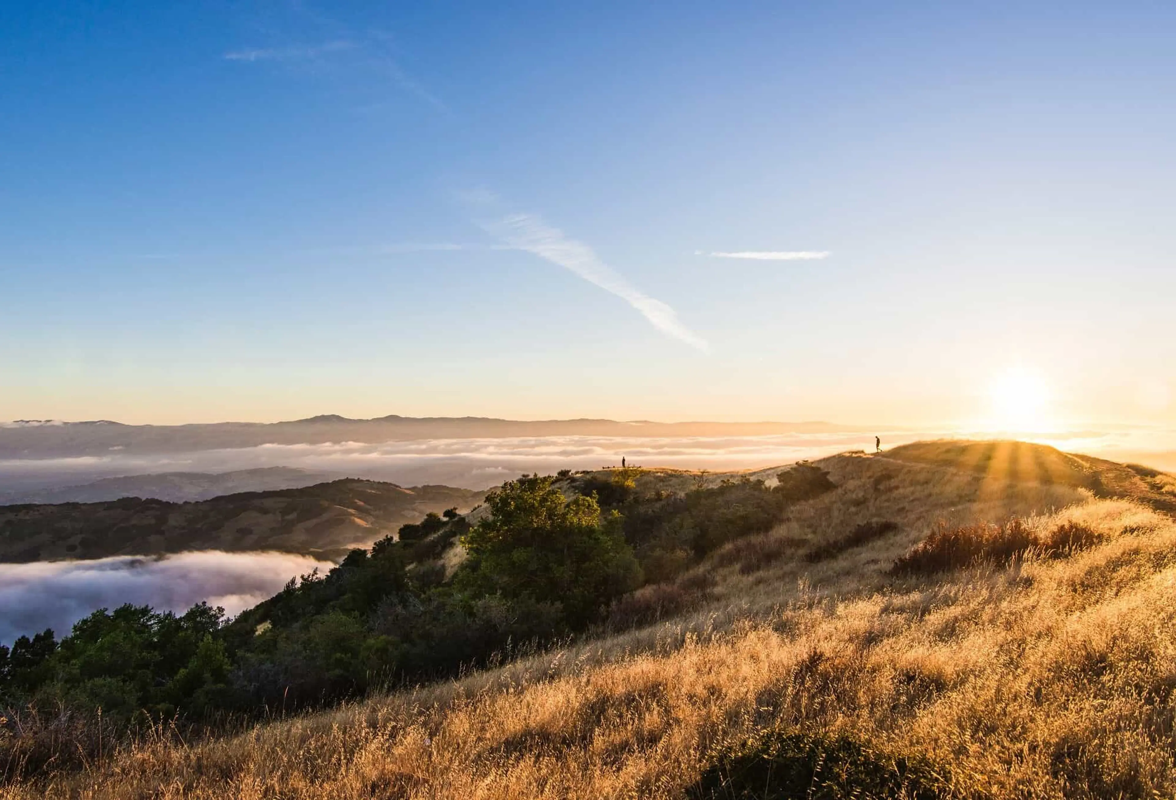 San Jose, CA background image