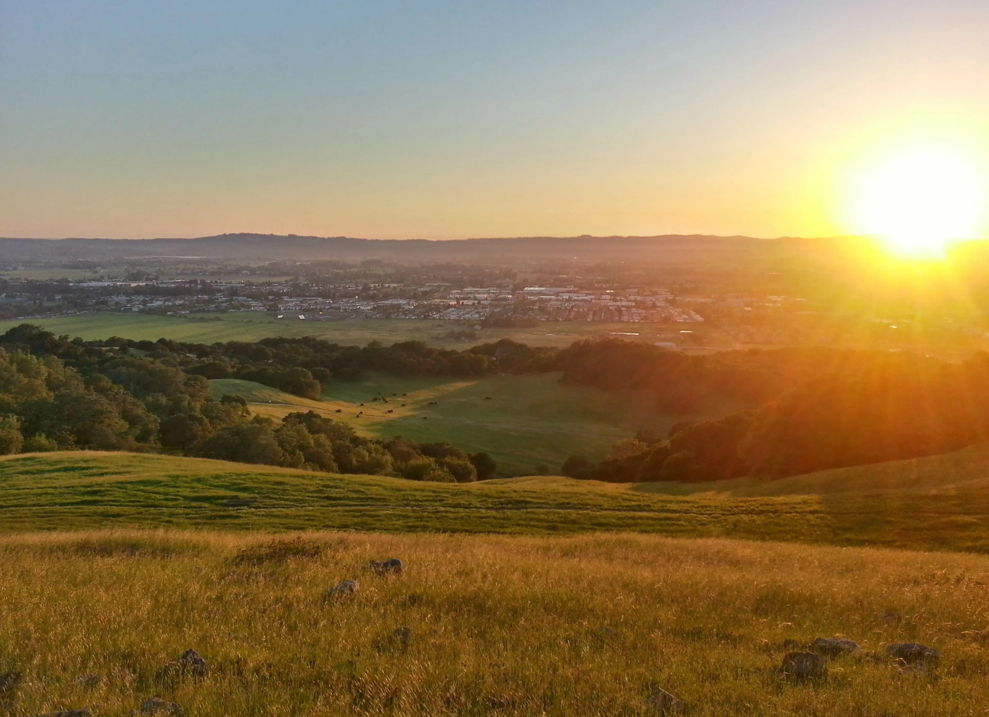 Santa Rosa, CA background image